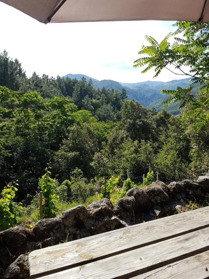Gite Du Puy Saint-Fortunat-sur-Eyrieux Εξωτερικό φωτογραφία