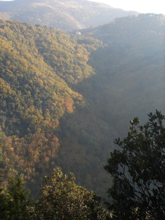 Gite Du Puy Saint-Fortunat-sur-Eyrieux Εξωτερικό φωτογραφία